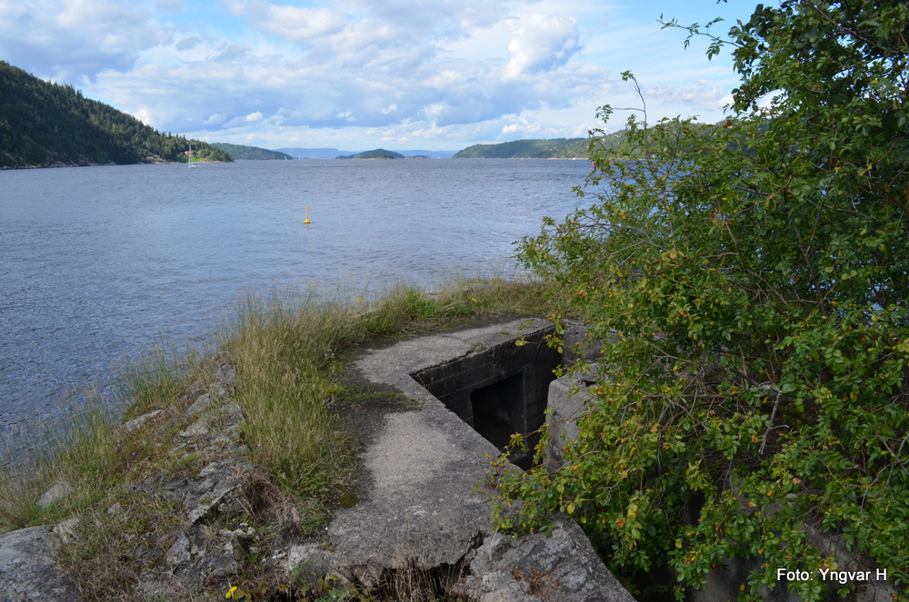 19-DSC_0081.JPG