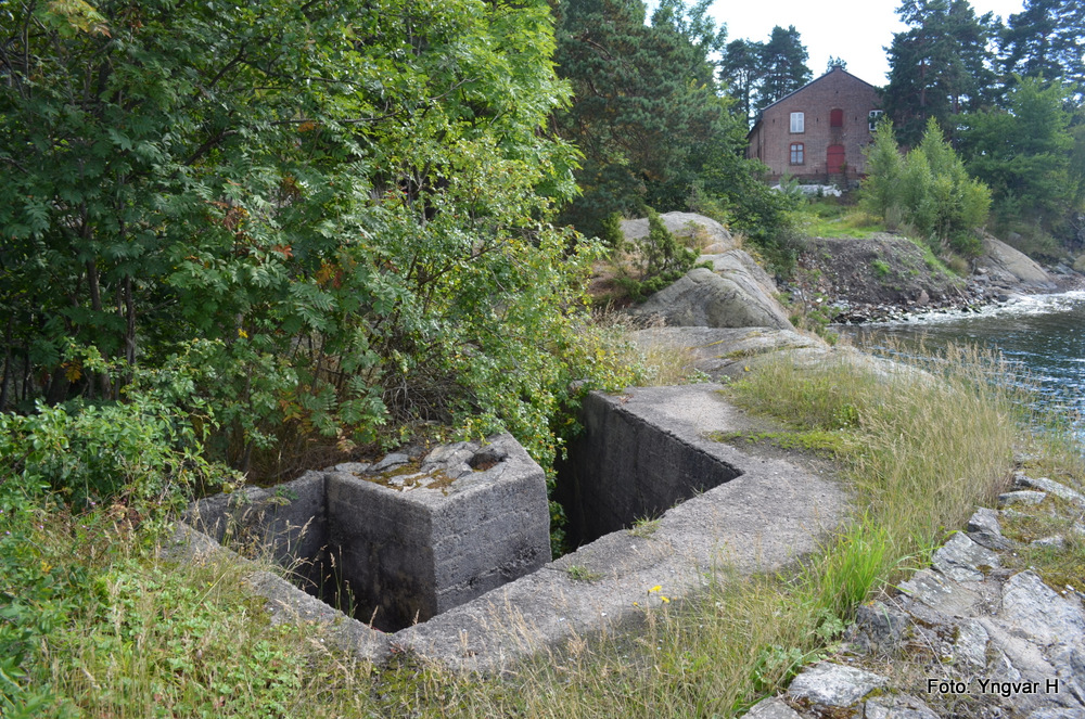 20-DSC_0083.JPG