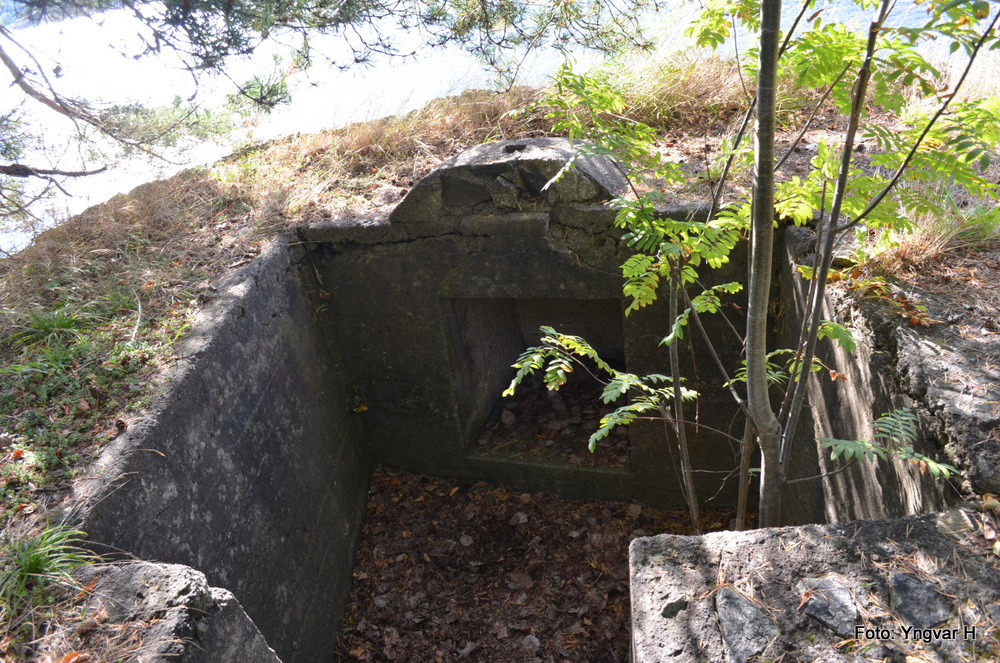 21-DSC_0086.JPG