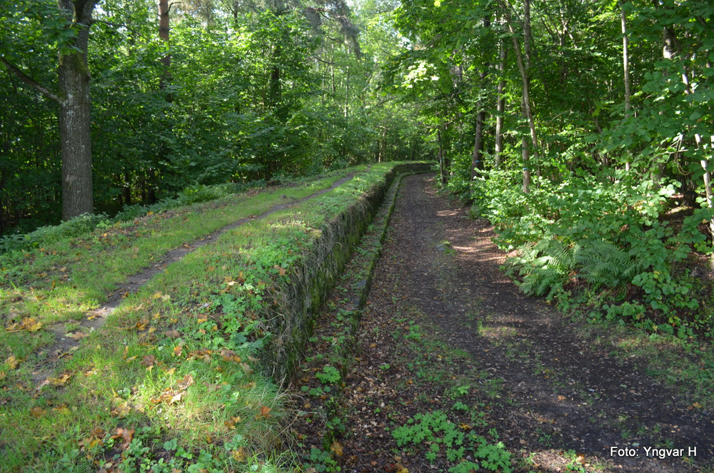 03-DSC_0132.JPG
