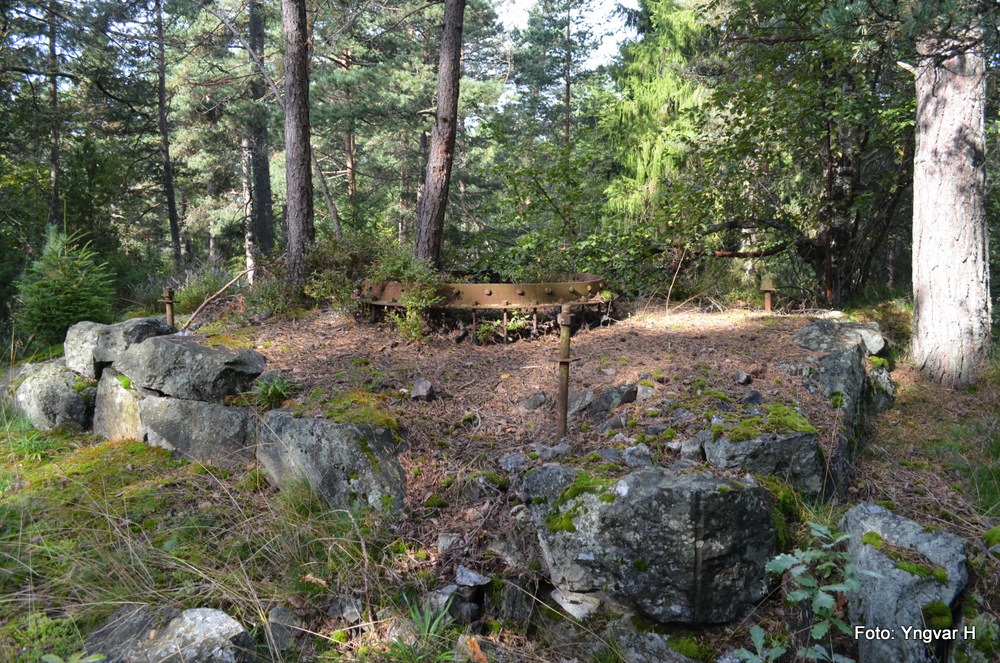 04-DSC_0133.JPG