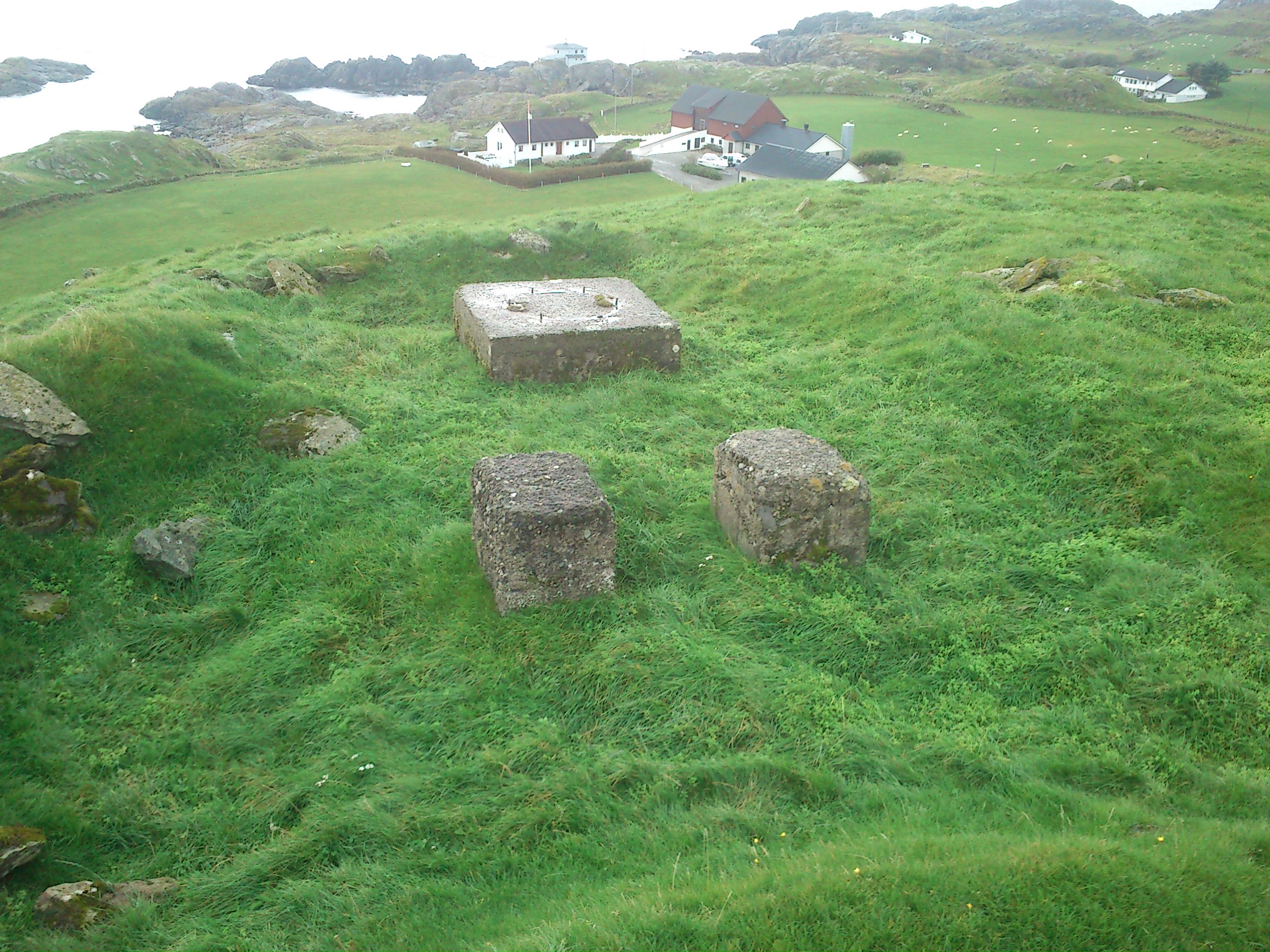 DSC_0049.JPG