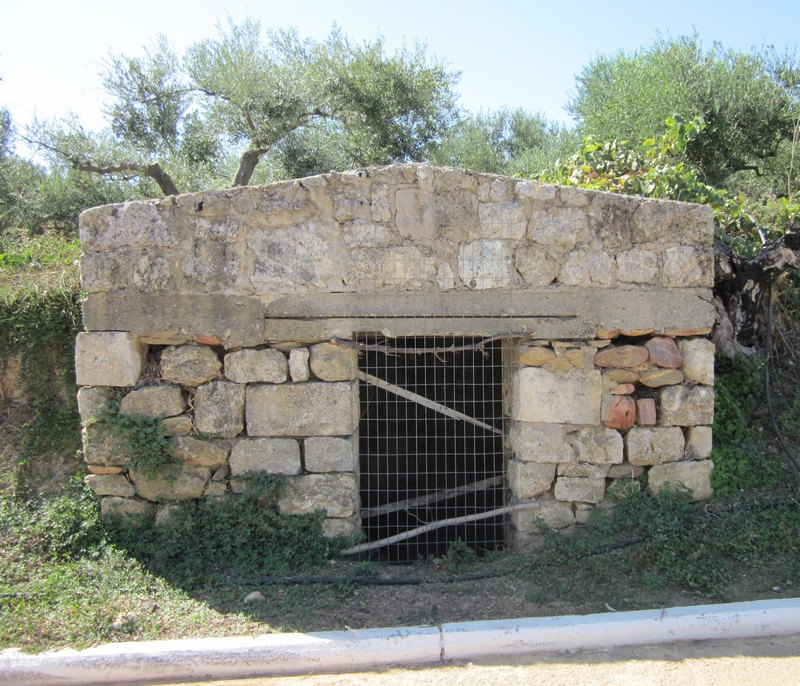 Image7.jpg