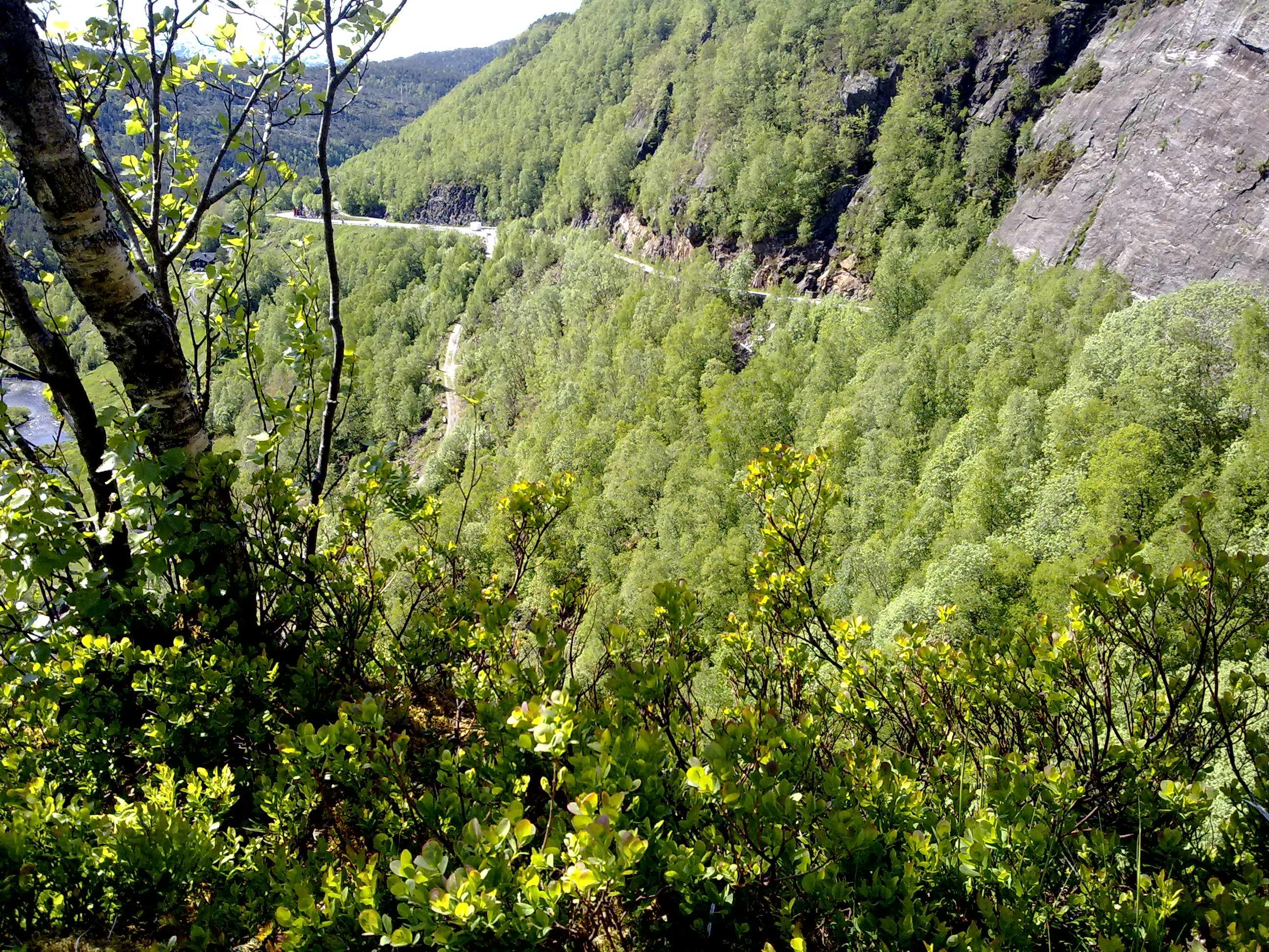 070620121842.jpg