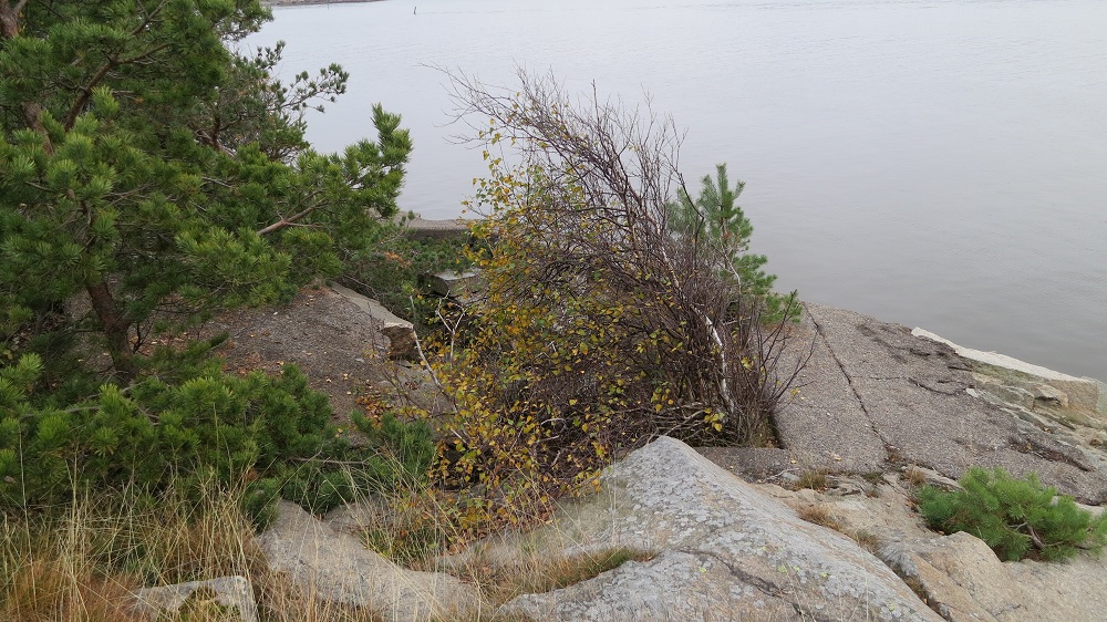 Sturødbukta (6).JPG
