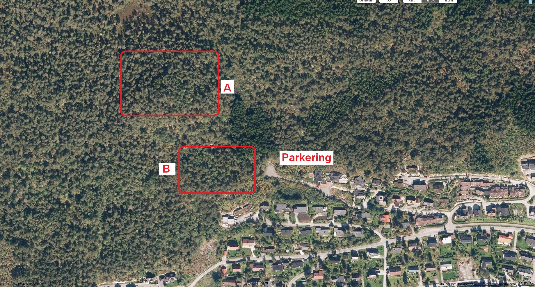 Pederveien - Molde - 2011 - 1.jpg