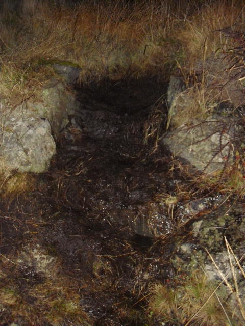 I dagslys er det mulig å se at der er sprengt en "sti" i berget. Fikk vekk noen meter med jord i dag .