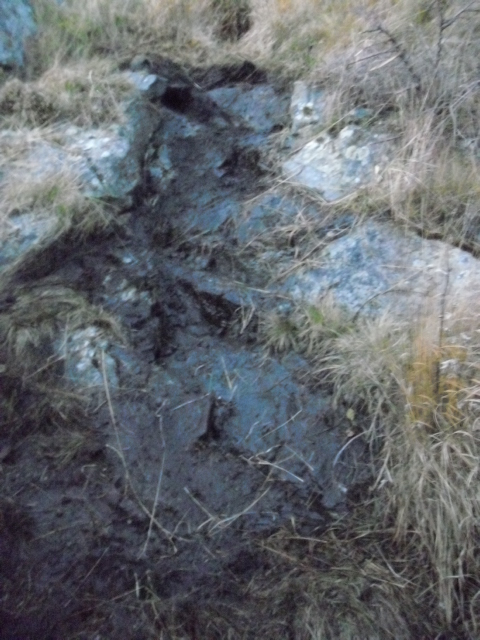 Tar bedre bilde så snart været tillater det .