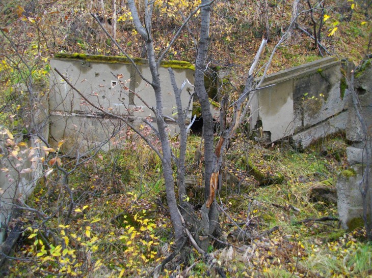IMGP1041.JPG
