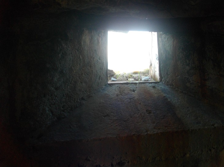 IMGP0855.JPG