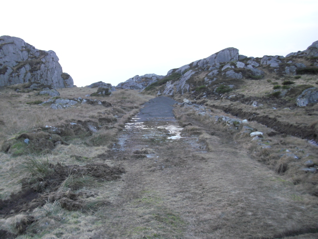 CIMG5830.JPG