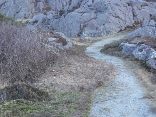 CIMG5844.JPG