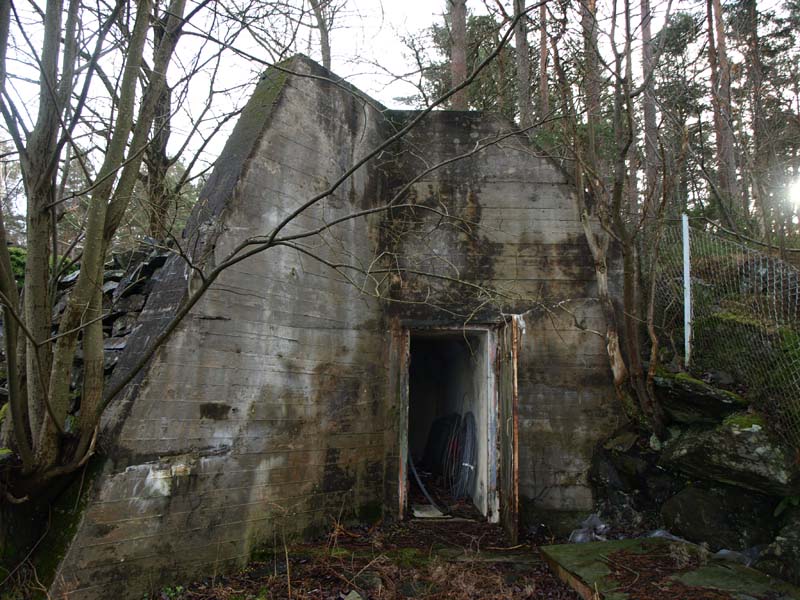 bunker.jpg