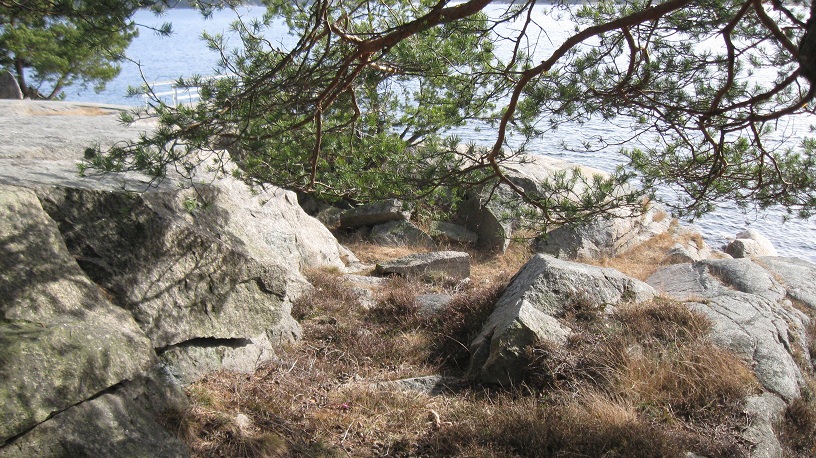 Horneskilen (1).JPG