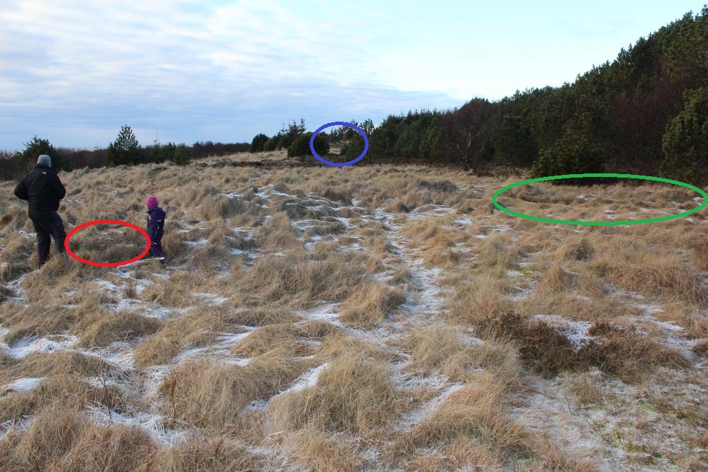 Nødutgangen er merket på bildet med en rød sirkel, hovedinngangen er grønn, og det vestre WR-fundamentet er merket med en blå sirkel.