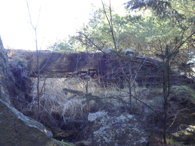 Eg saget vekk noen greiner som hang i veien . Da det var gjort var det mulig å ta et bedre bilde. Så jo straks at det måtte være noe av tysk fabrikat .