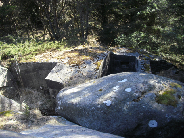 Da eg hadde klatret opp fikk eg se at det var en sMG-stilling med skyteskår. Det andre skyteskåret var kun for observasjon,sa KOS etter inspeksjon av stillingen .