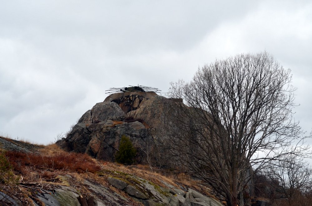 11-DSC_0041.JPG