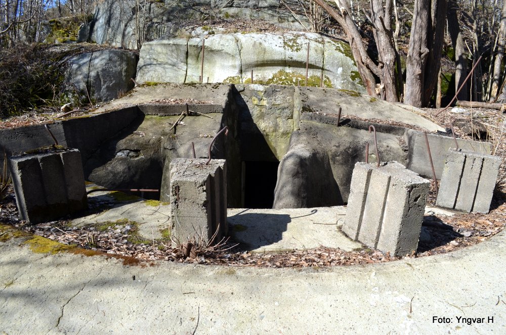 04-DSC_0036.JPG
