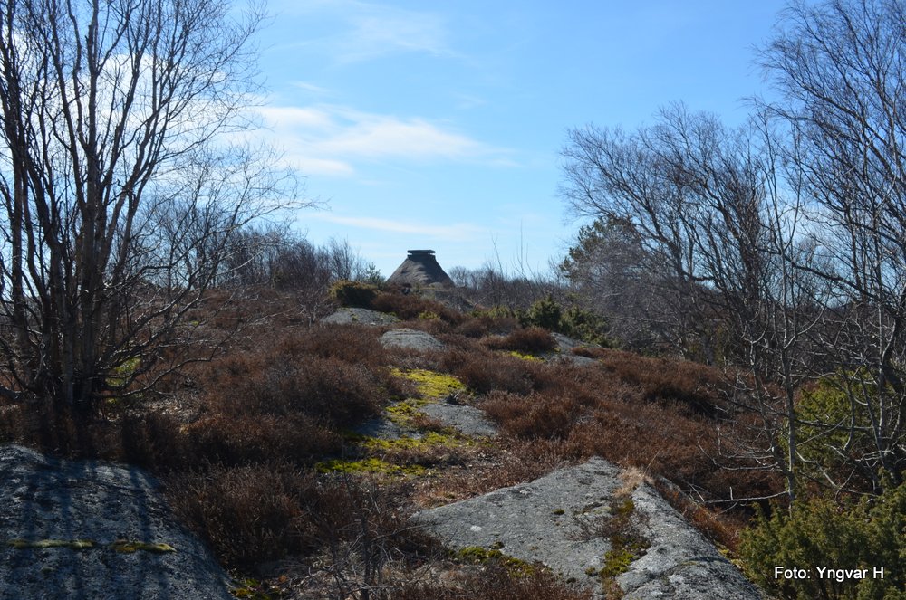 08-DSC_0049.JPG