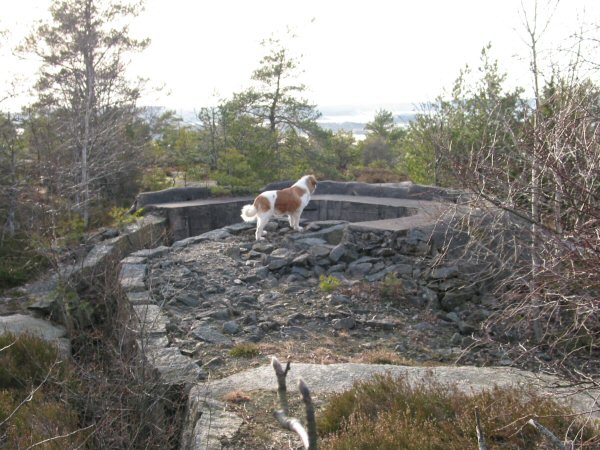 Kjøkøy Fort 16022008 049_small.jpg