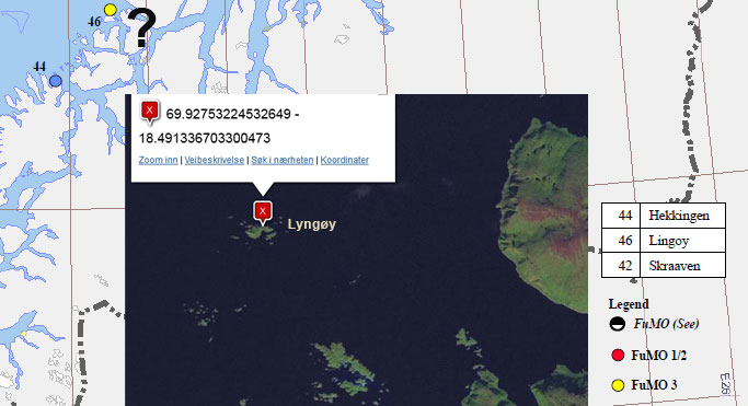 lingoy.jpg