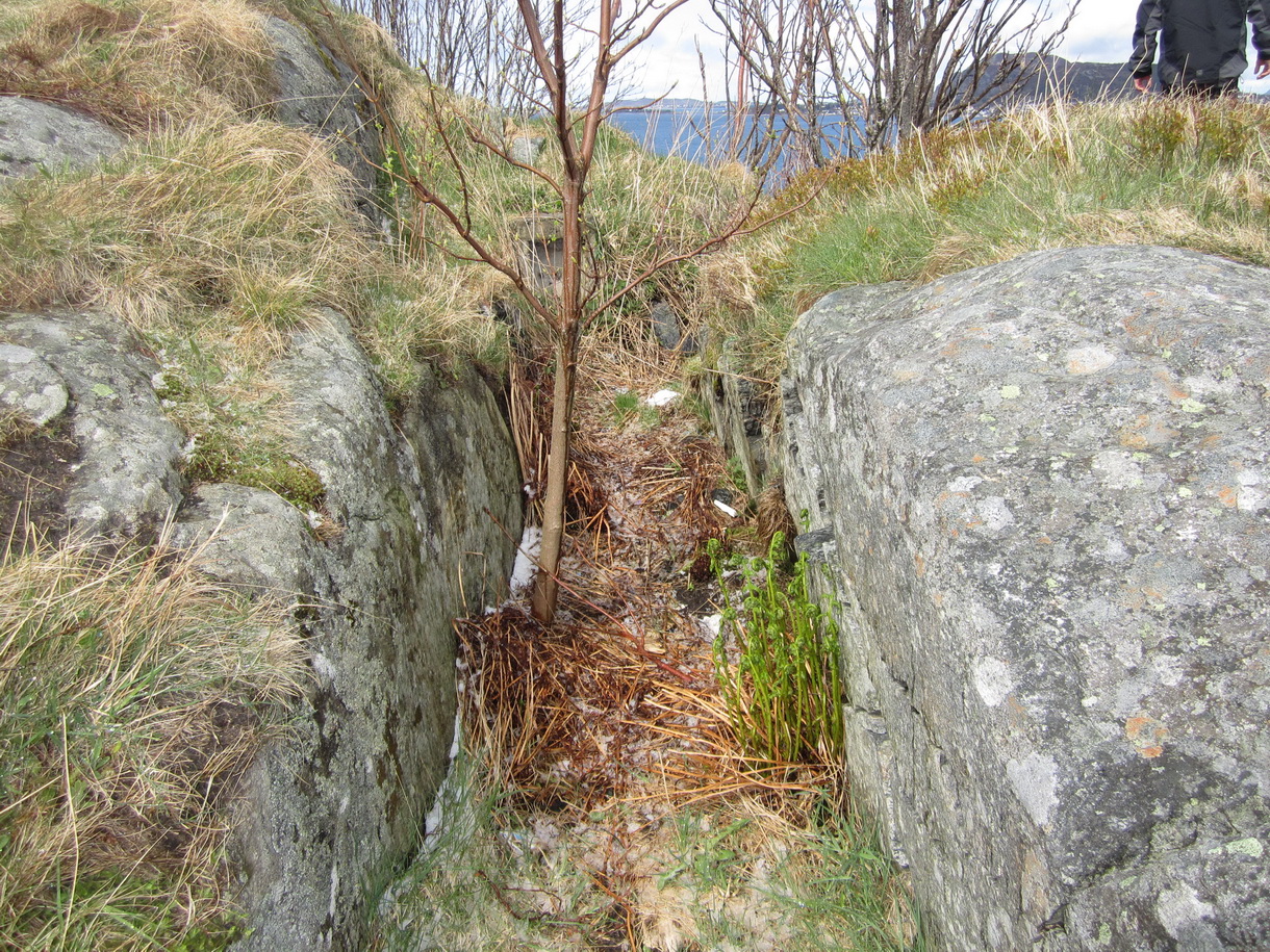 Løpegraver gikk over hele toppen av Jens-Haugen og førte ut til mg-stillinger, enten i betong eller opplødd stein/betong. Løpegravene var enten nedskutt i berget som her, eller av stein/betong.