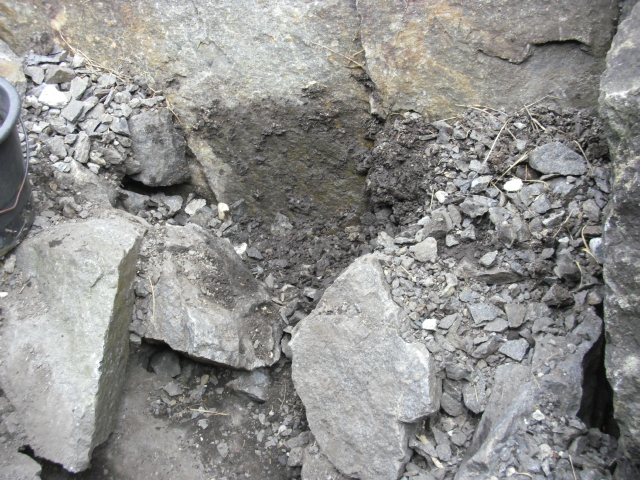 CIMG7794.JPG