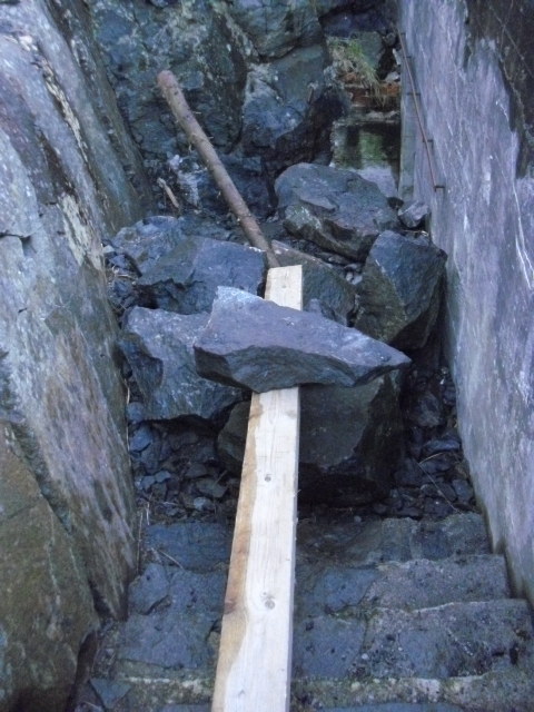 CIMG7861.JPG