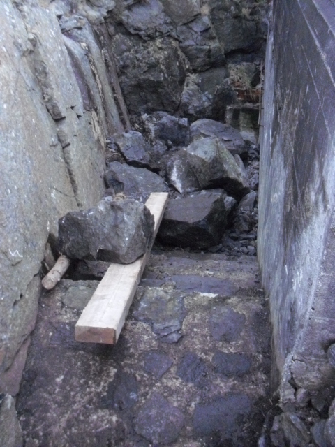 CIMG7865.JPG