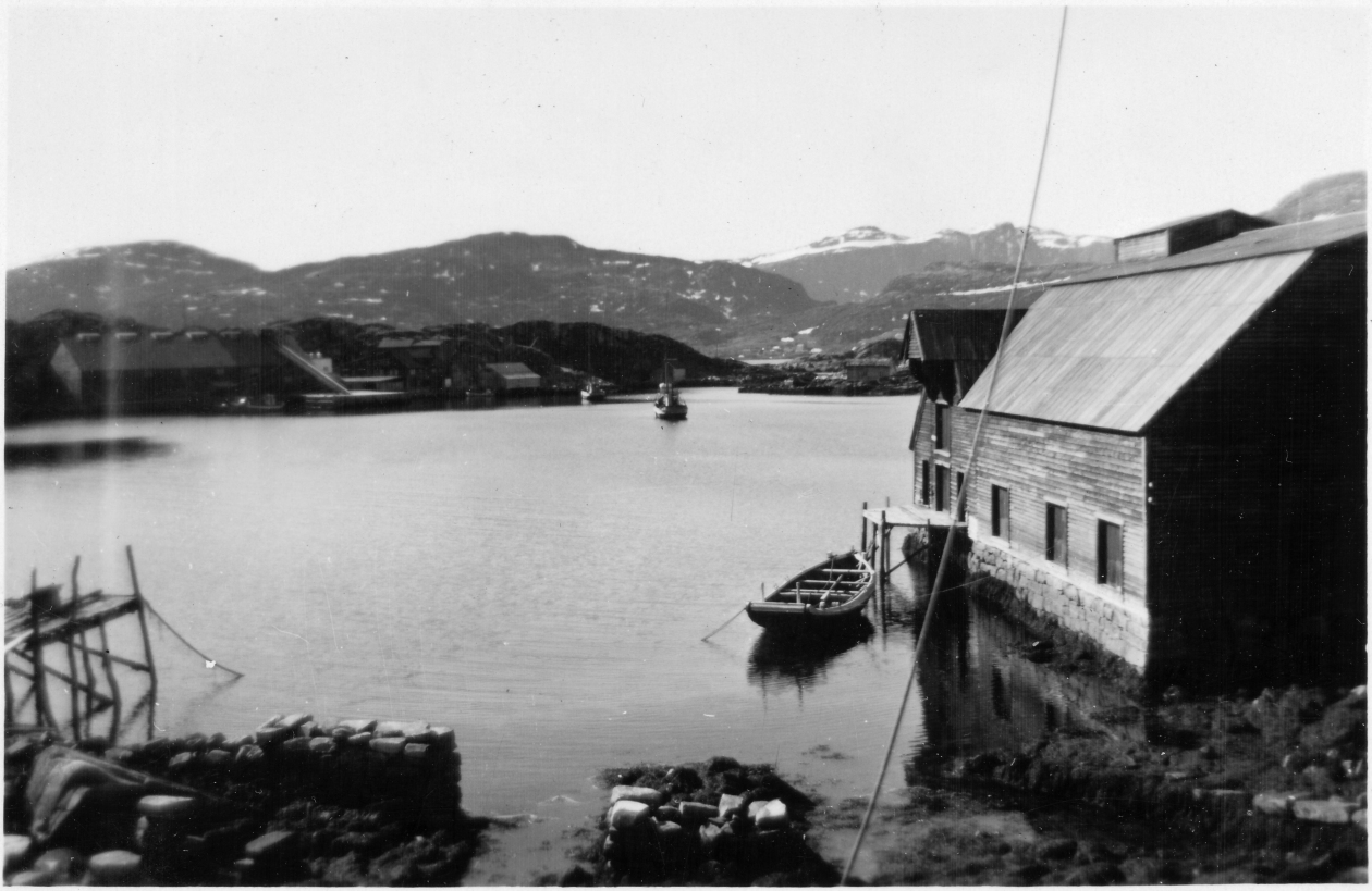 U41.jpg