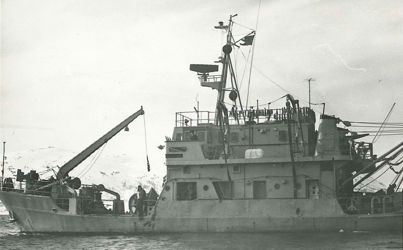 qz1.jpg