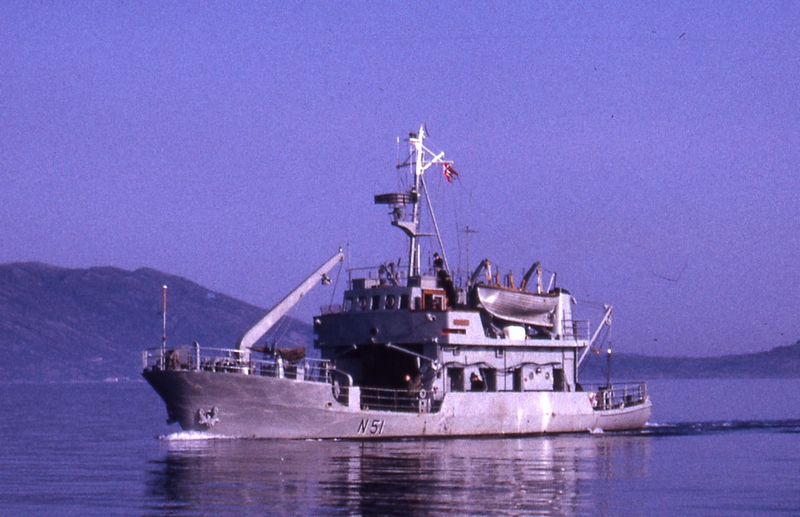 qz2.jpg