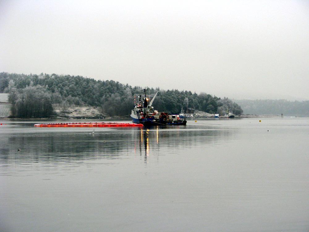 1-112.JPG