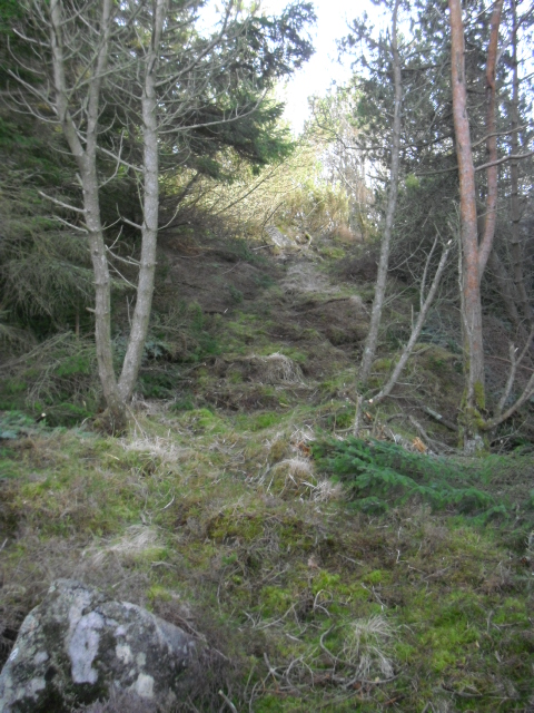CIMG8172.JPG