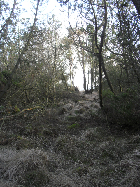 CIMG8175.JPG