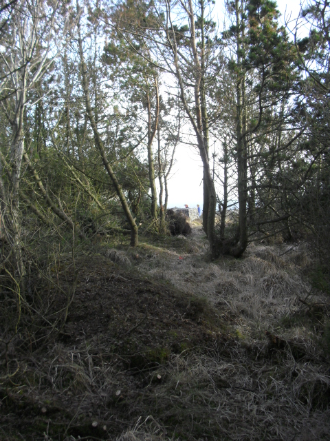 CIMG8176.JPG