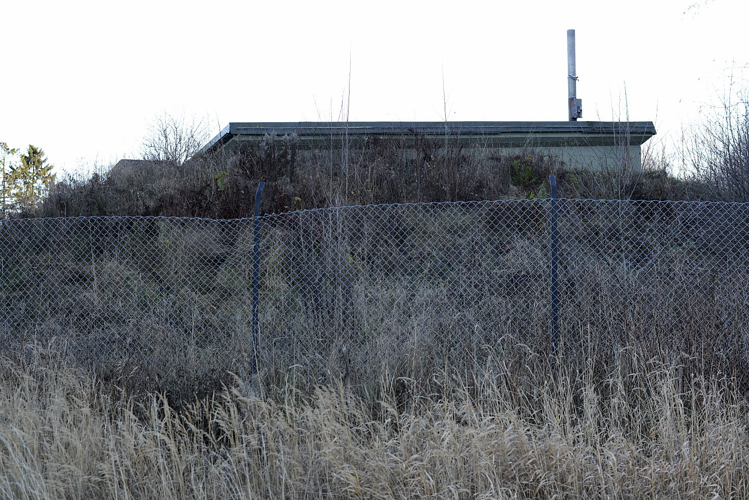 DSC_9546_v1.jpeg