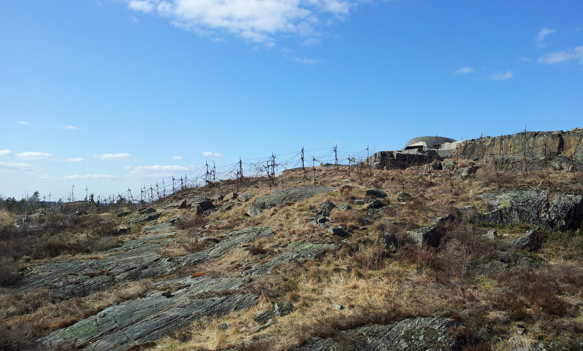 20140403_141243.jpg