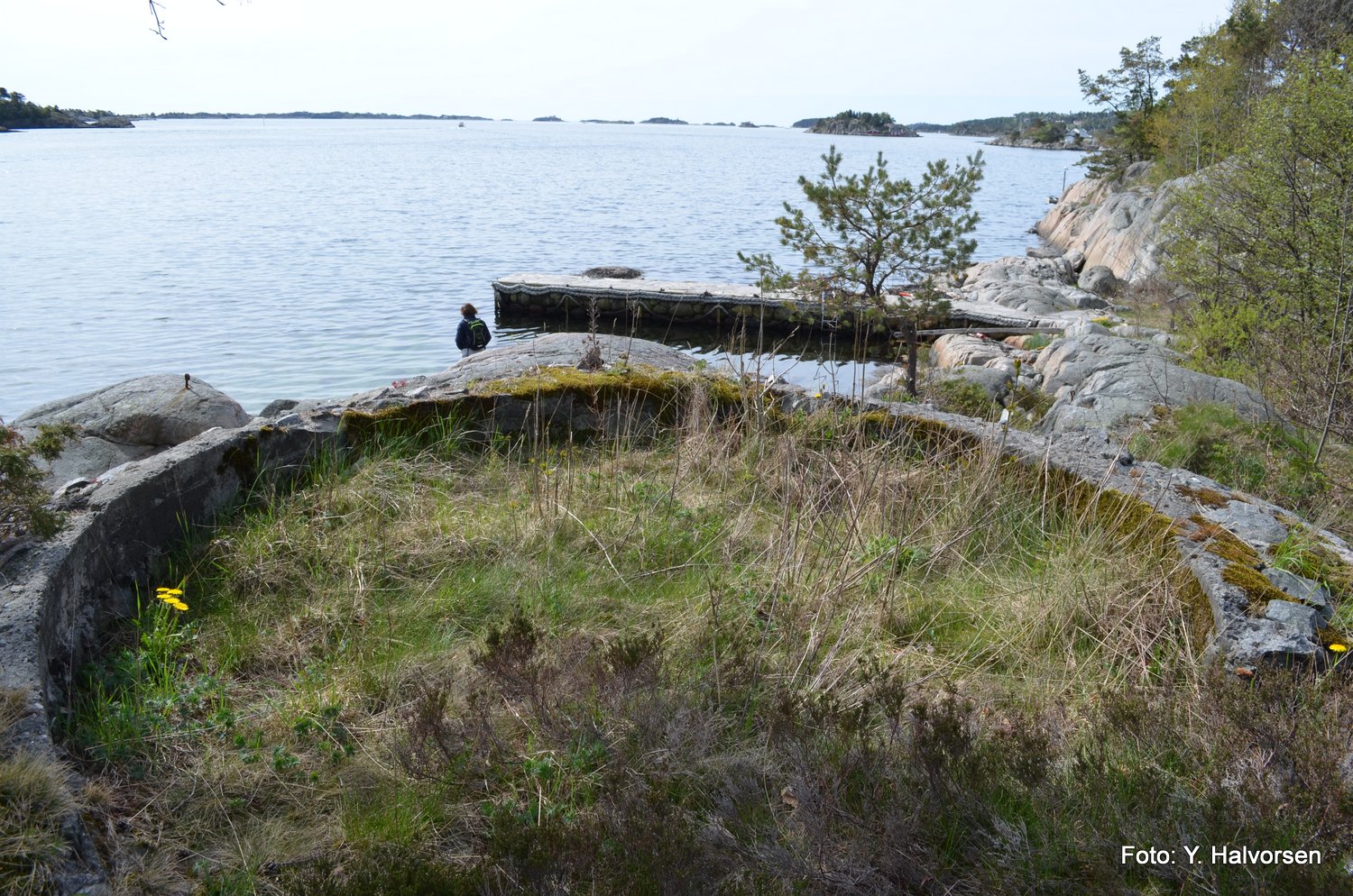09-DSC_0235.JPG