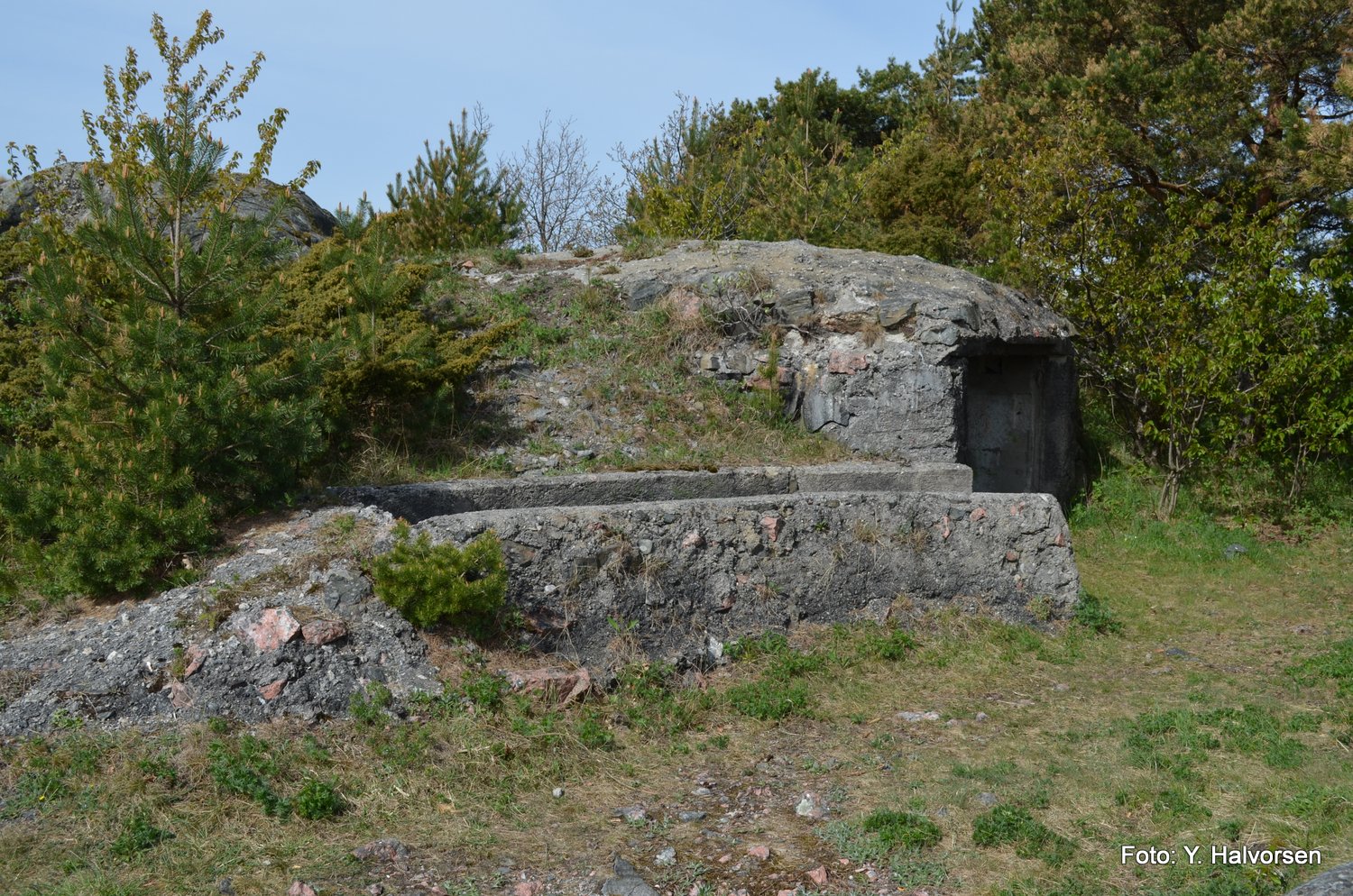 17-DSC_0186.JPG