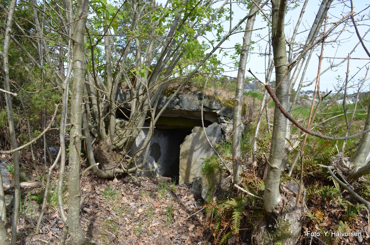 22-DSC_0209.JPG
