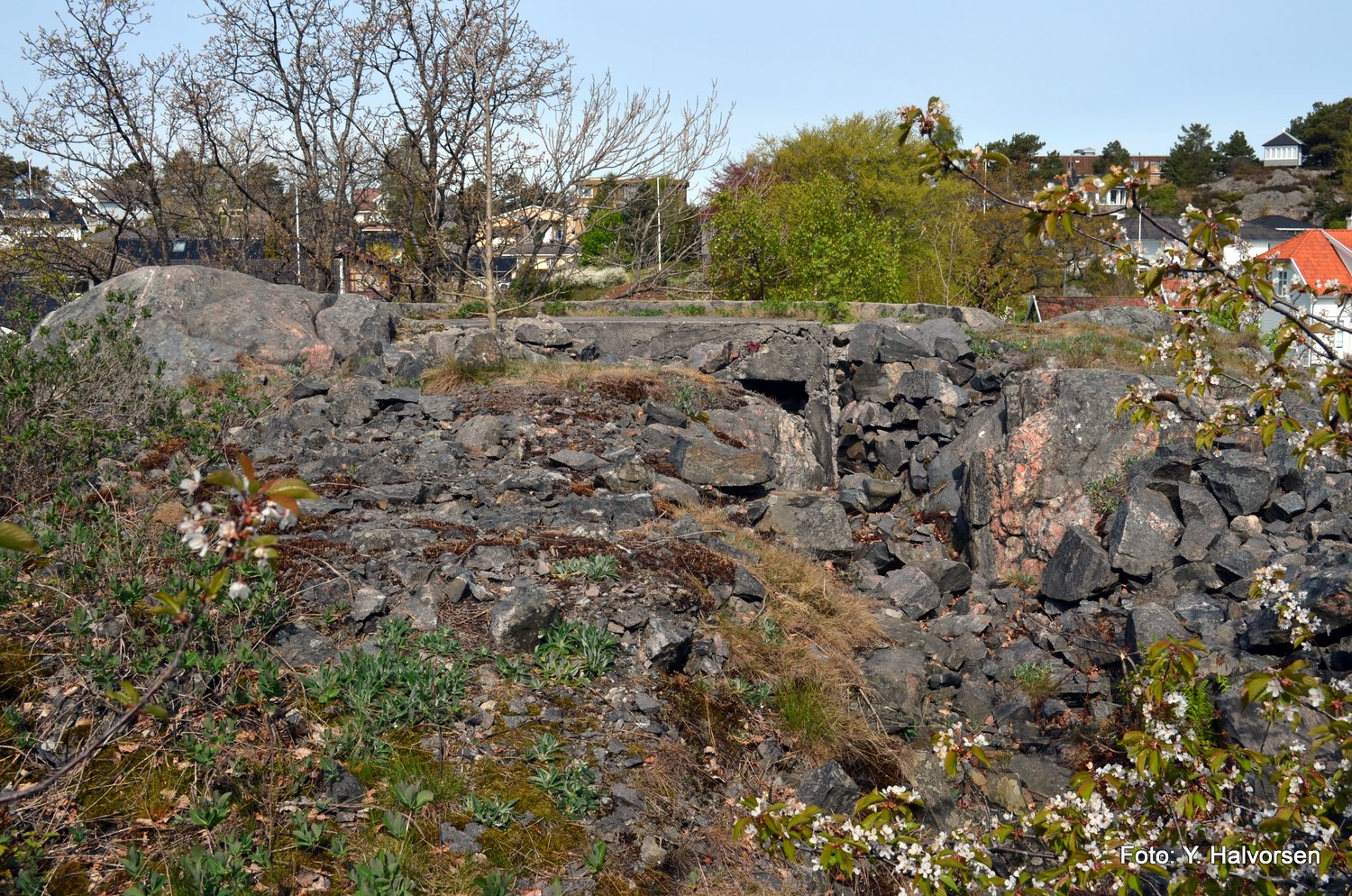 25-DSC_0214.JPG