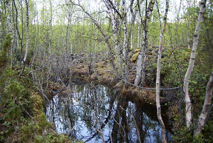 Påbegynt bunker