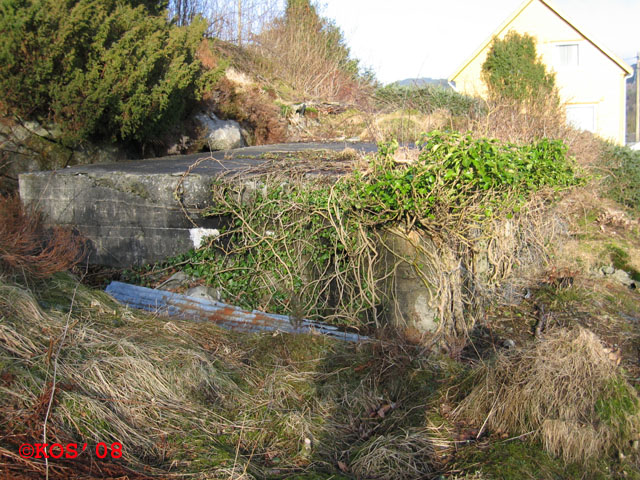 20080210_039_3.jpg