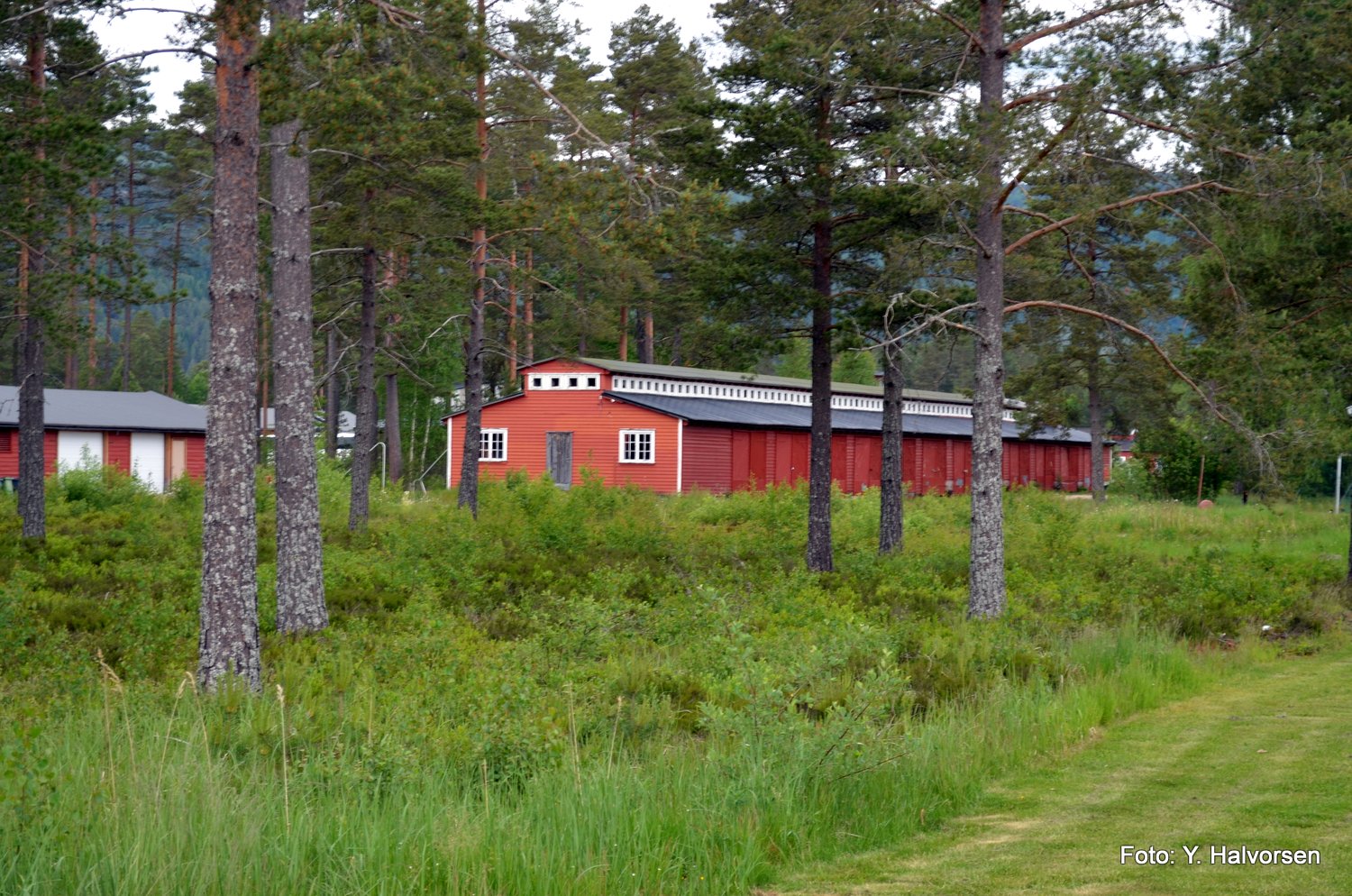 08-DSC_0049.JPG