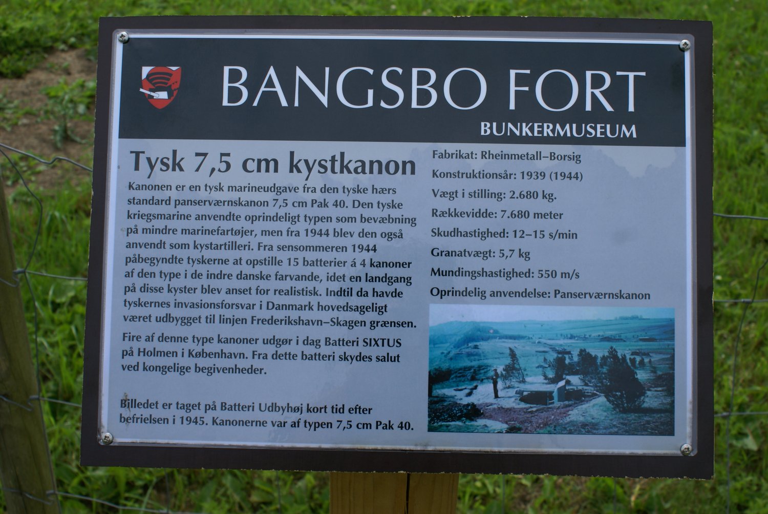 03-DSC03011.JPG