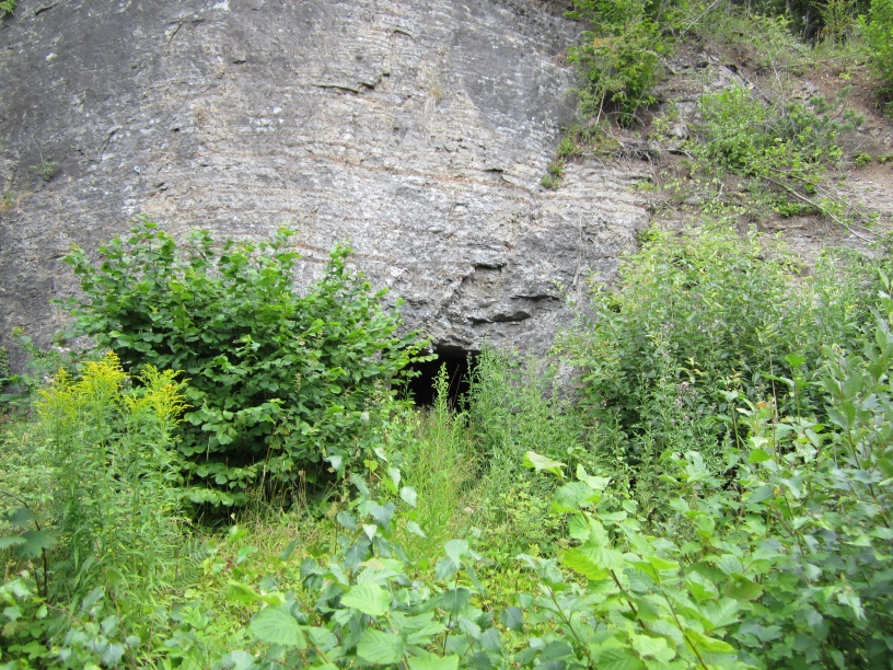 Bunker 1.jpg