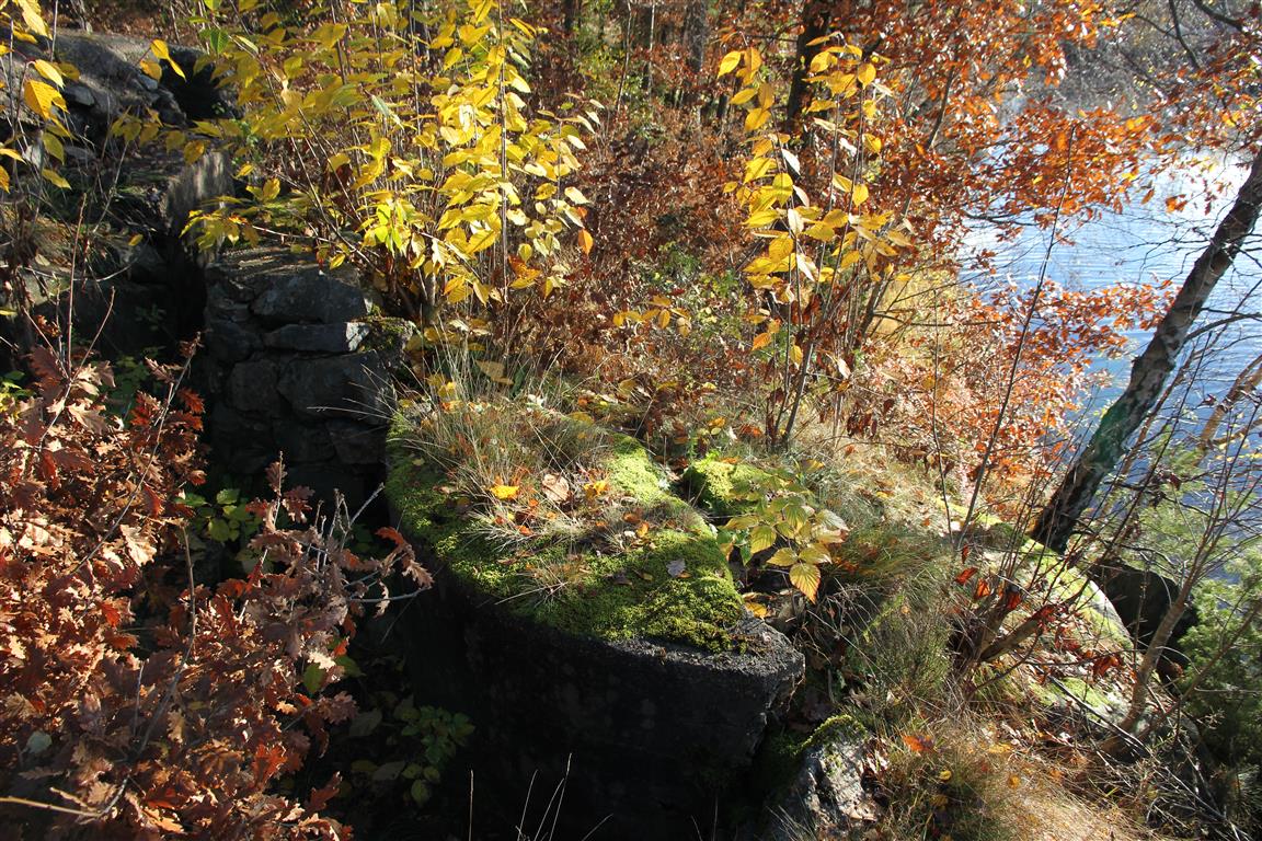 Borkedalsvannet (1).JPG
