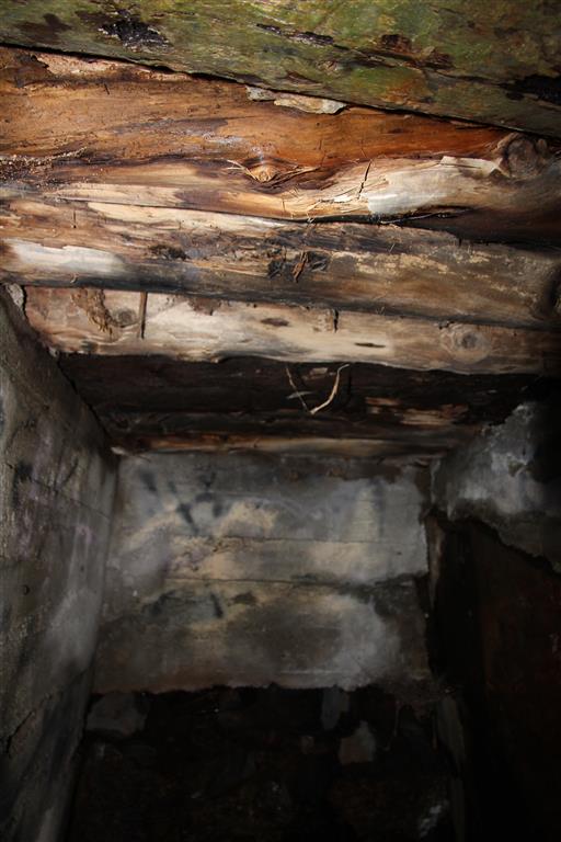 Borkedalsvannet (2).JPG